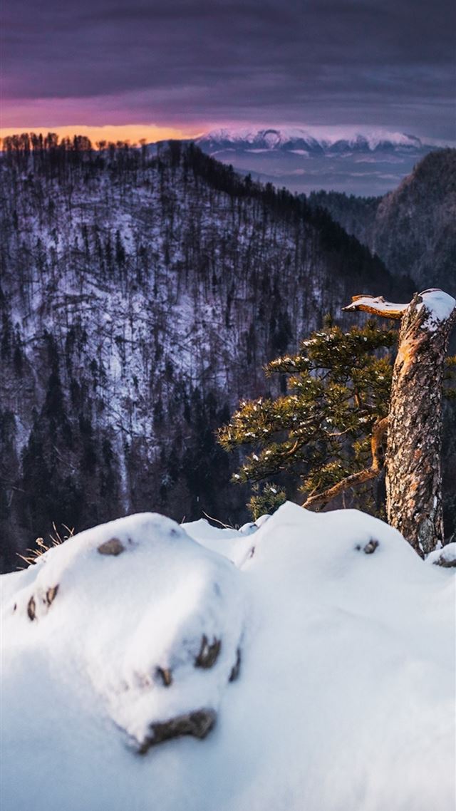 1080x1920 winter landscape snow - winter iPhone 8 Wallpaper