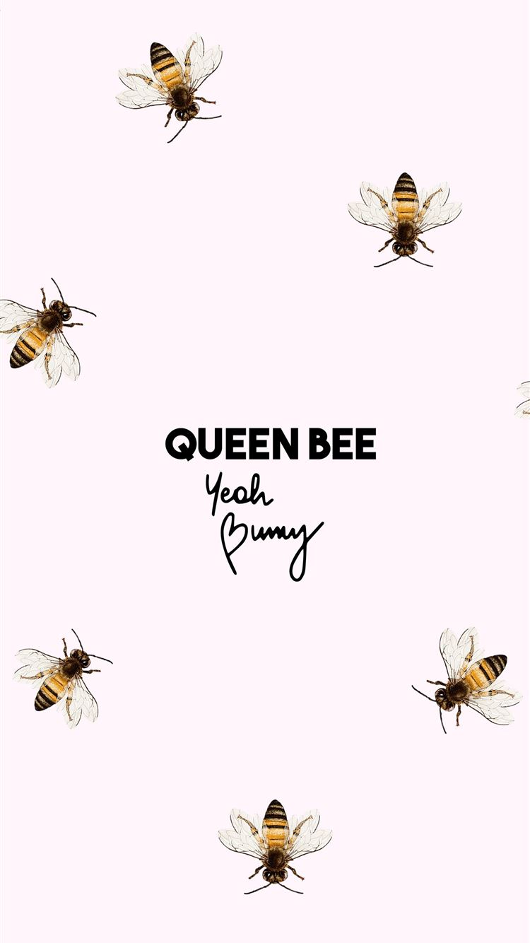 Honey Bee Iphone Wallpapers Free Download