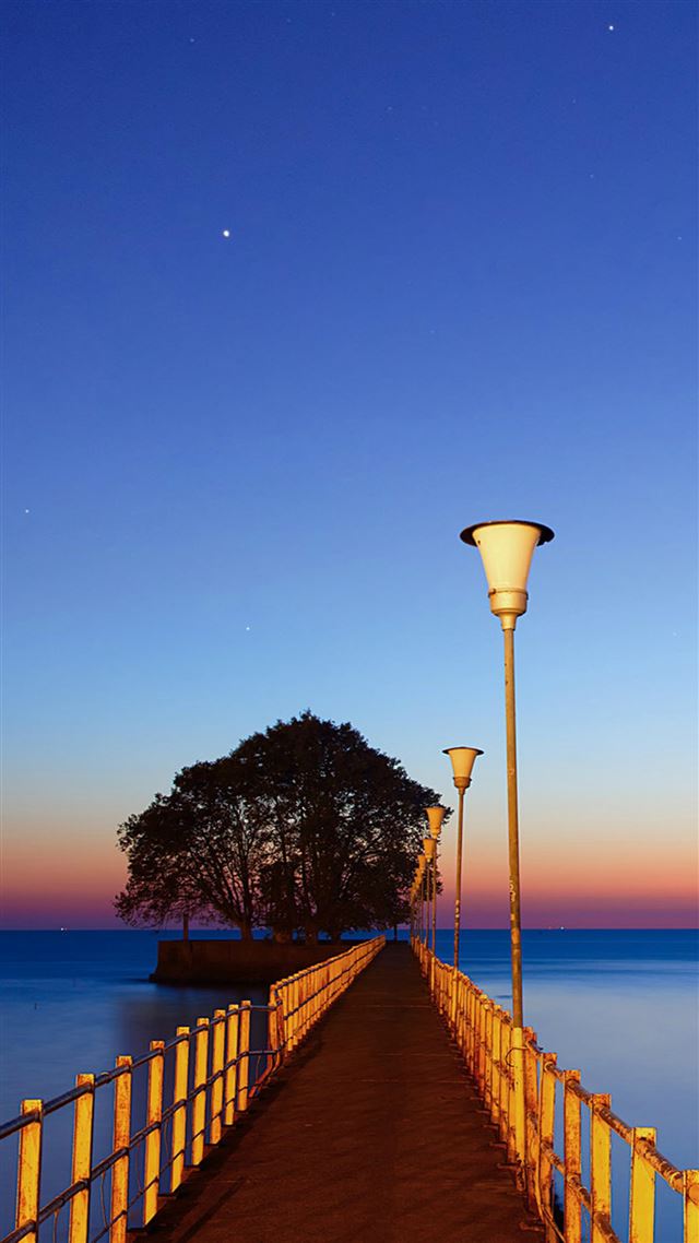 1080x1920 Blue Sky Bridge Gallery - tree iPhone 8 Wallpaper