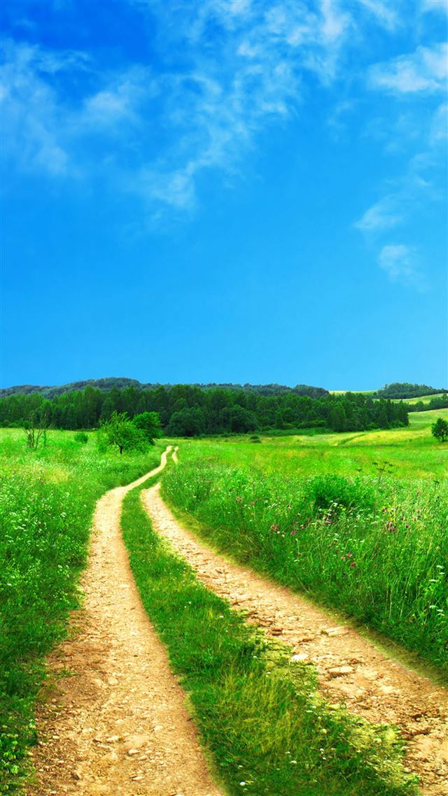 1080x1920 Path to Wild - road iPhone 8 Wallpaper