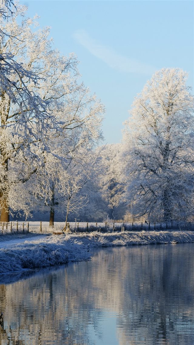 1080x1920 Frozen Mist Snow Forest - lake iPhone 8 Wallpaper
