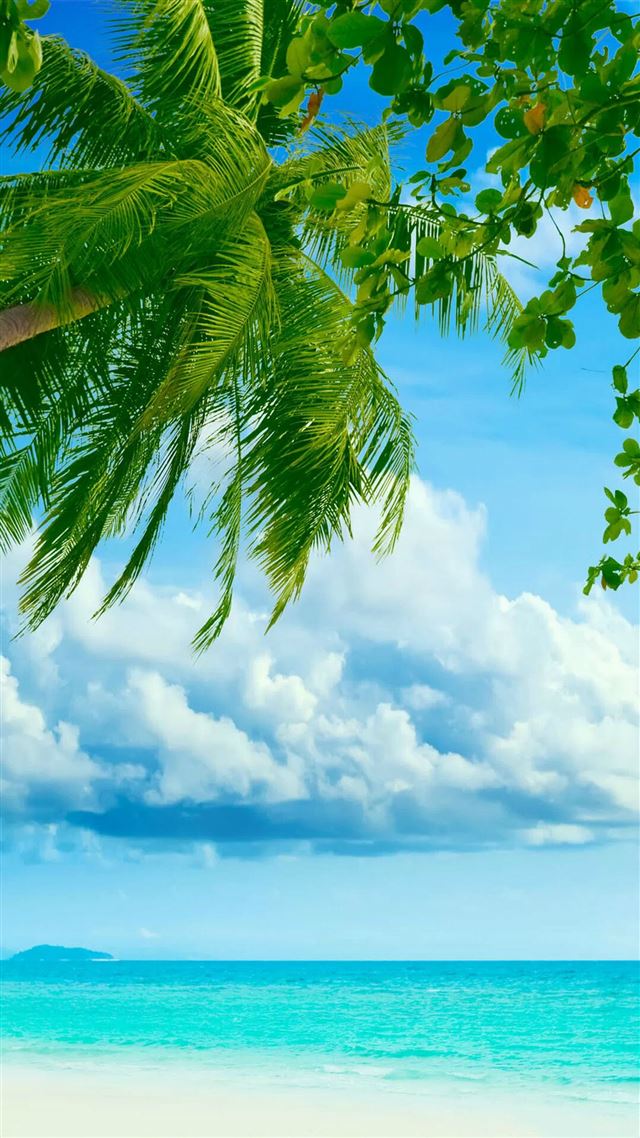 1080x1920 Tropical Beach Coconut Tree - blue iPhone 8 Wallpaper