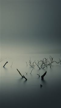 Ubuntu Gnome Mist Fog Underwater Trees wallpaper