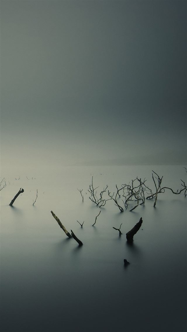 1080x1920 Ubuntu Gnome Mist Fog Underwater Trees - underwater iPhone 8 Wallpaper