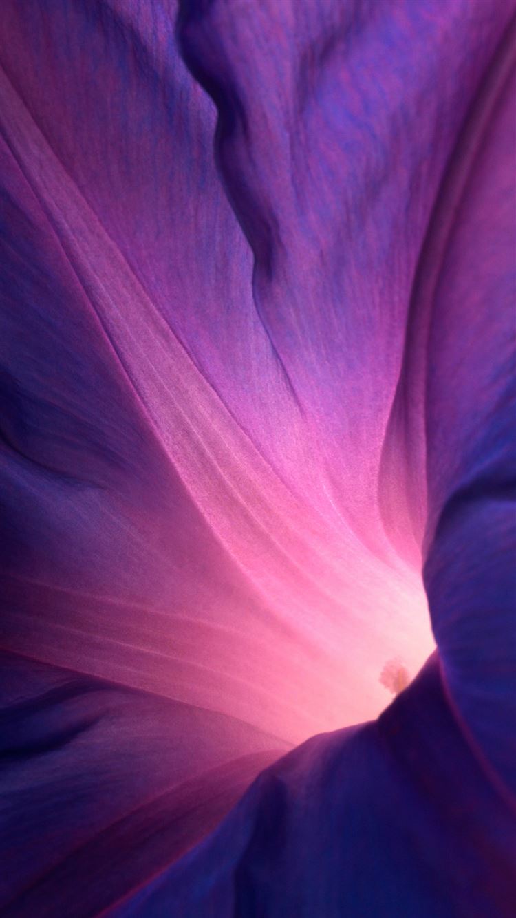 Abstract Purple Flower Lockscreen iPhone 8 Wallpapers Free Download