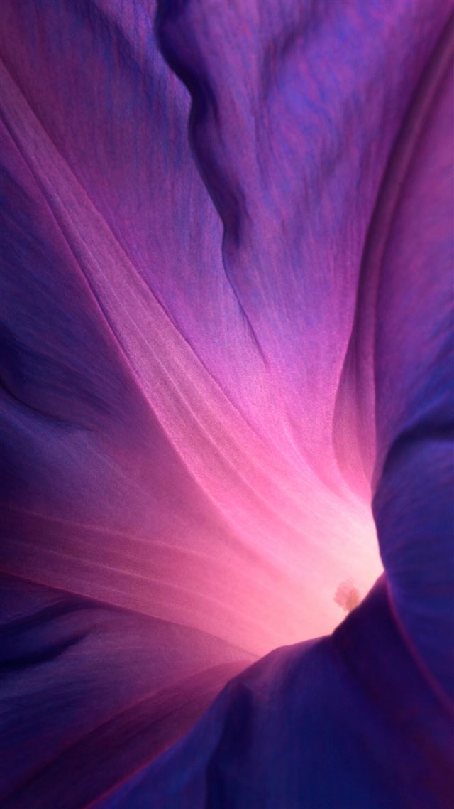 1080x1920 Abstract Purple Flower Lockscreen - flower iPhone 8 Wallpaper