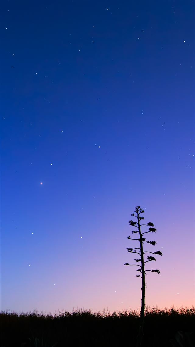 1080x1920 Pure Night Sky - night iPhone 8 Wallpaper
