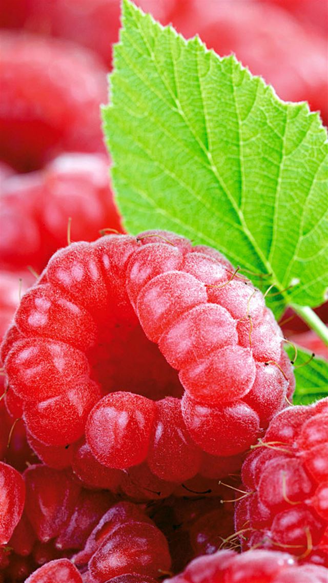 1080x1920 Fresh Raspberry Macro - macro iPhone 8 Wallpaper