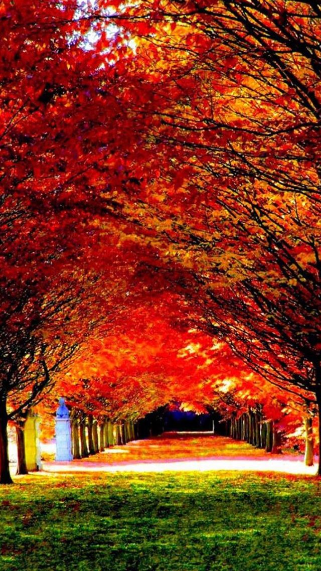 1080x1920 Nature Red Trees Road - road iPhone 8 Wallpaper