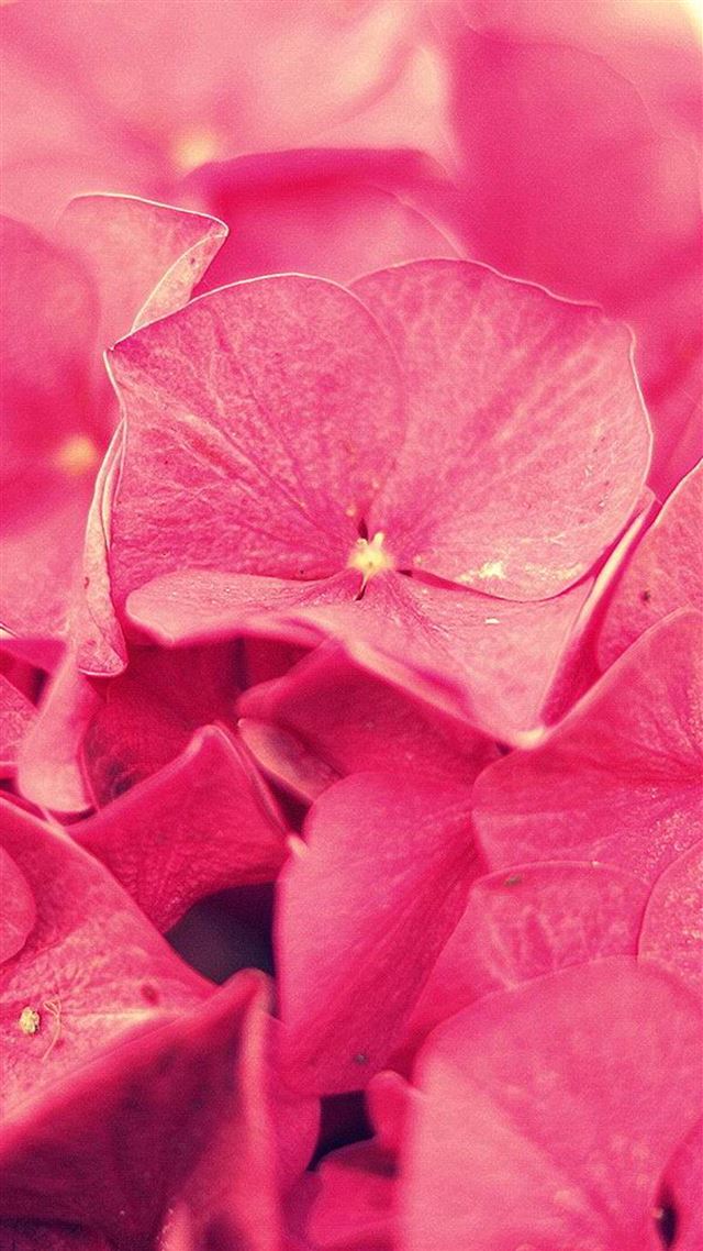 1080x1920 Overlap Flower Petals - flower iPhone 8 Wallpaper