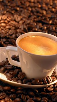 Coffee On Coffee Beans wallpaper