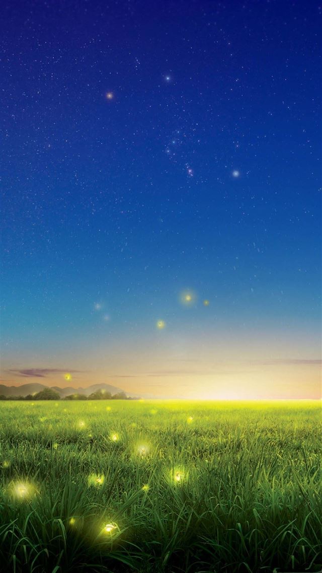 1080x1920 Fireflies Country Field - field iPhone 8 Wallpaper