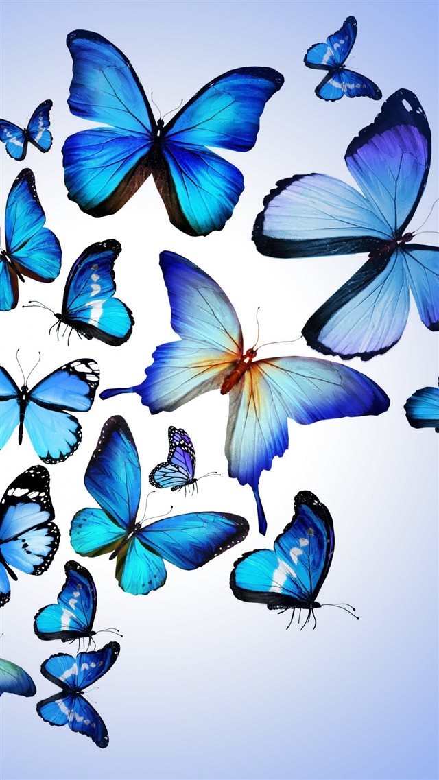 1080x1920 Butterfly Colorful Blue Drawing Art Beautiful - insect iPhone 8 Wallpaper