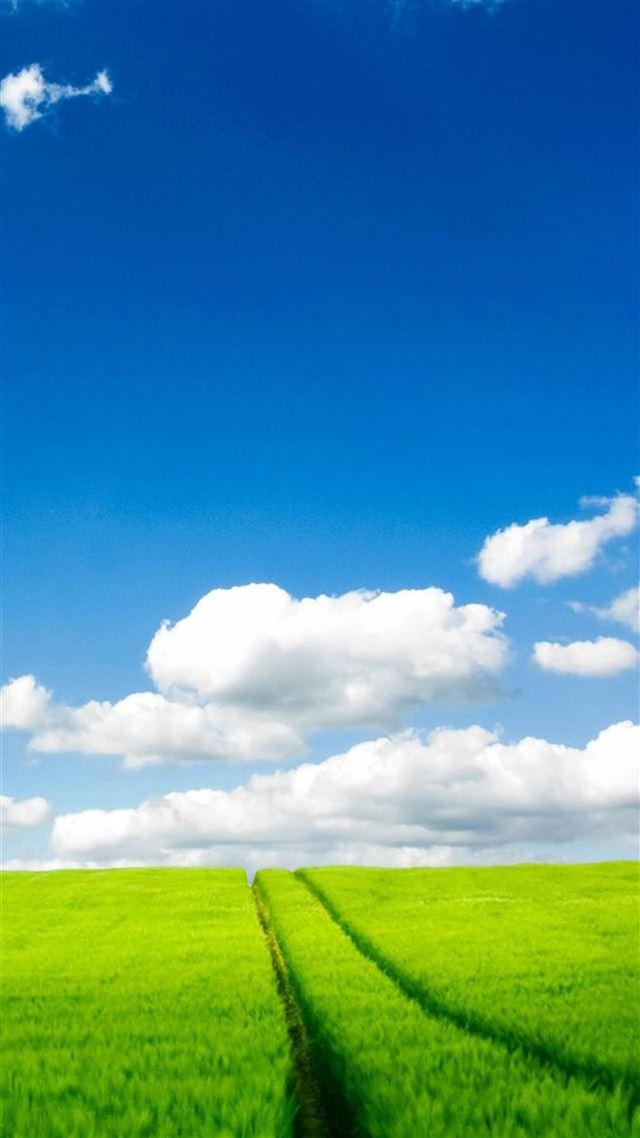 1080x1920 Nature Pure Field Sky Landscape - field iPhone 8 Wallpaper