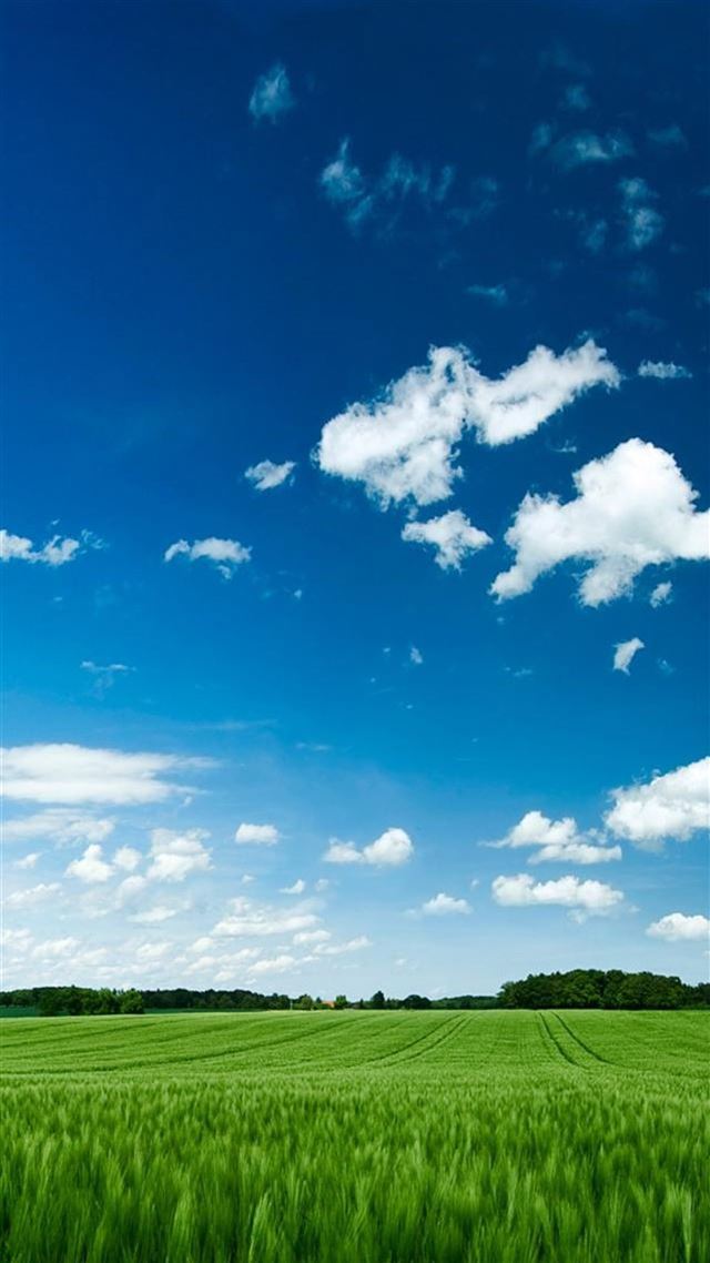 1080x1920 Clear Farmland Landscape - blue iPhone 8 Wallpaper