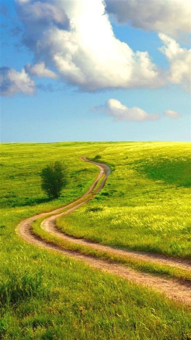1080x1920 Nature Field Road - road iPhone 8 Wallpaper
