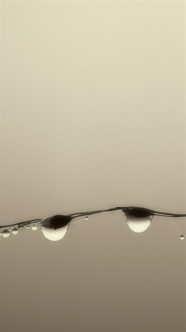 1080x1920 Water Drops Grass Blade - background iPhone 8 Wallpaper