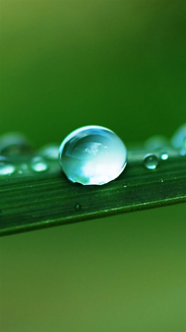 1080x1920 Water Drop Macro Leaf - macro iPhone 8 Wallpaper