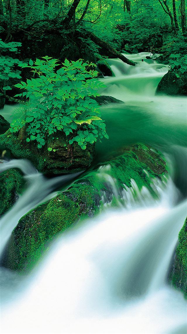 1080x1920 Jungle Waterfall Landscape - water iPhone 8 Wallpaper