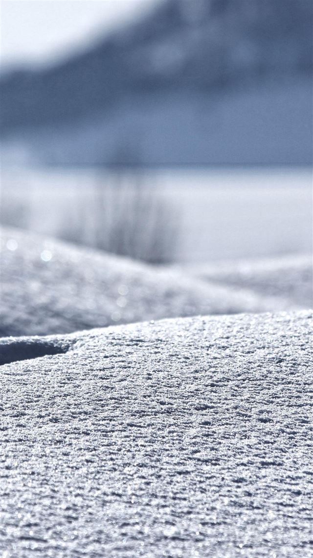 1080x1920 Winter In My Backyard - winter iPhone 8 Wallpaper