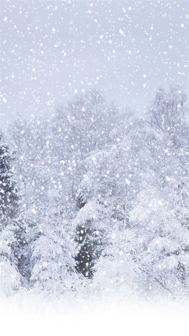 1080x1920 Nature Heavy Snow Forest - winter iPhone 8 Wallpaper