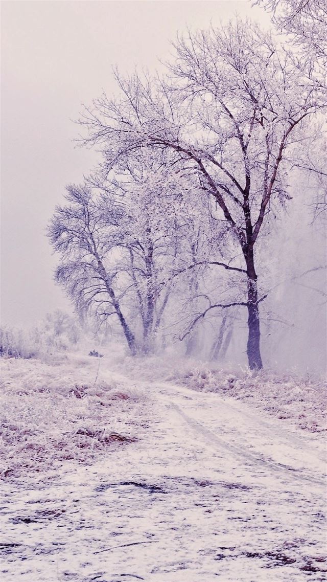 1080x1920 Winter Path Trees Landscape - path iPhone 8 Wallpaper
