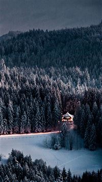 Winter Snow Forest Chalet Retreat wallpaper