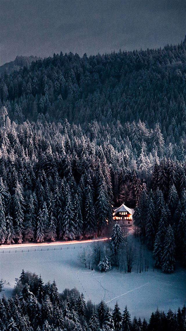 1080x1920 Winter Snow Forest Chalet Retreat - winter iPhone 8 Wallpaper