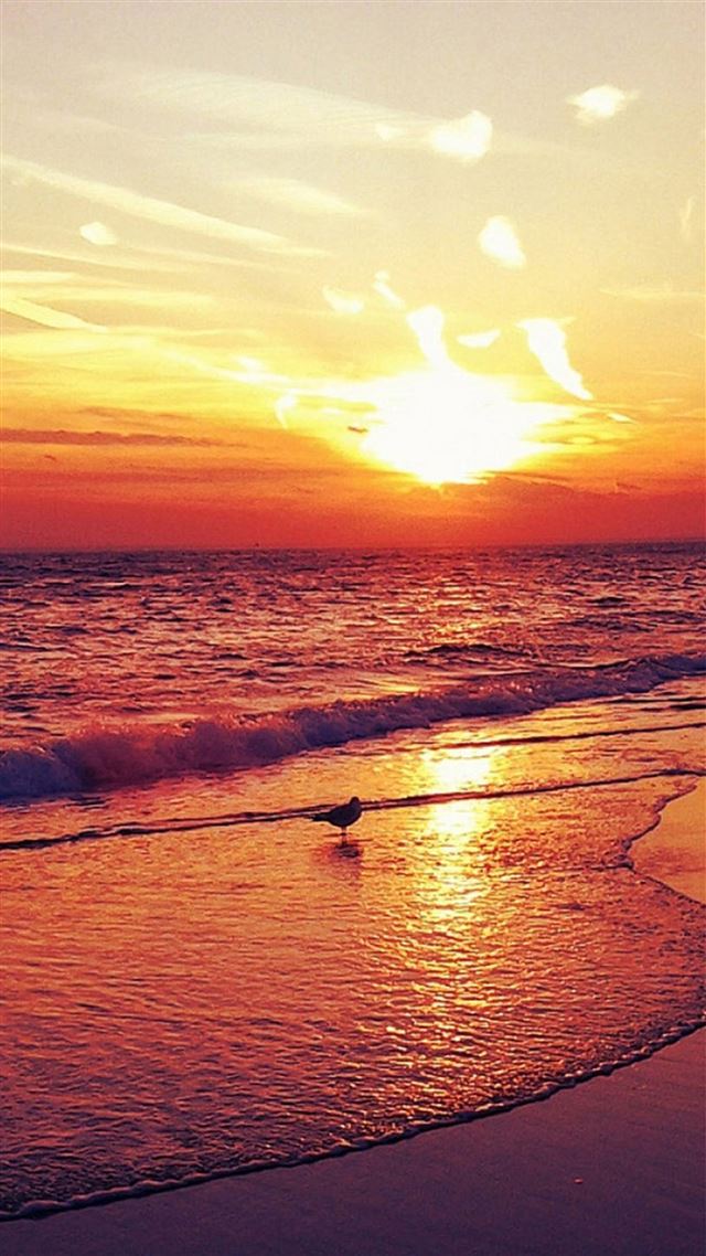 1080x1920 Nature Sunset Beach Landscape - bird iPhone 8 Wallpaper