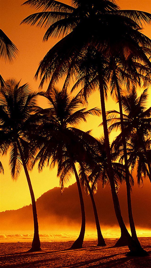 1080x1920 Nature Sunset Beach Coconut Grove  - brown iPhone 8 Wallpaper