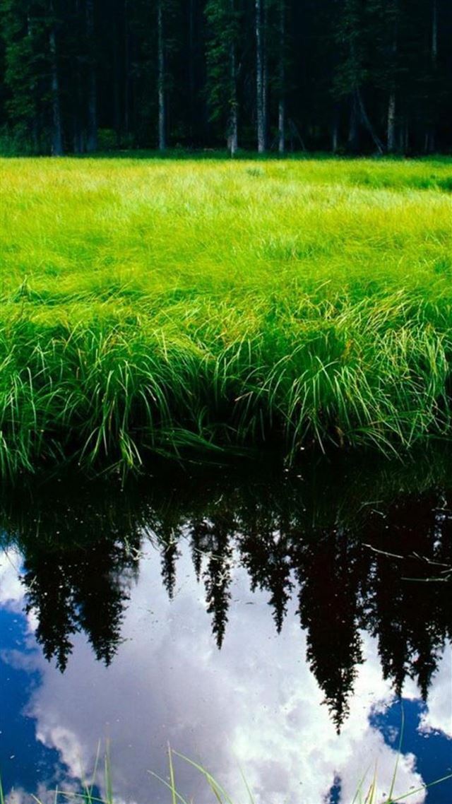 1080x1920 Nature Green Grassland Beside Lake - grass iPhone 8 Wallpaper
