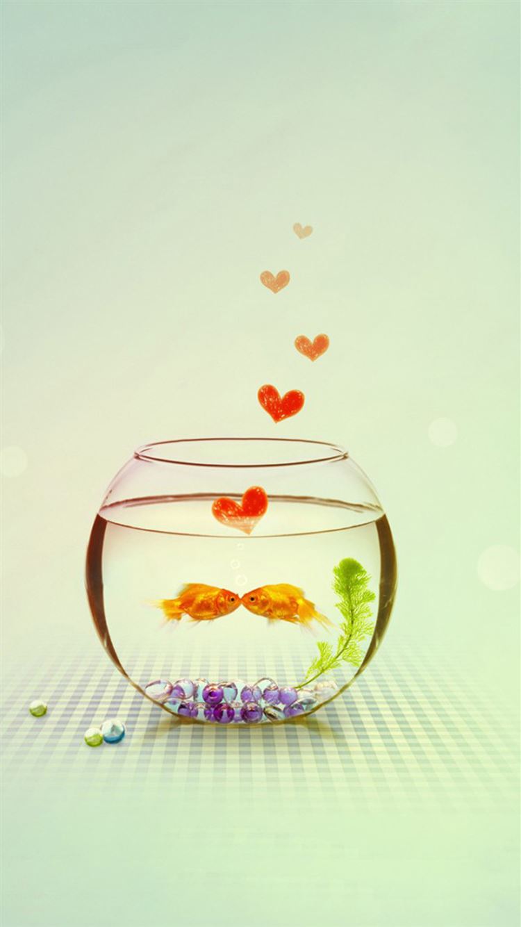 Goldfish iPhone Wallpaper  Wallpapers Download 2023
