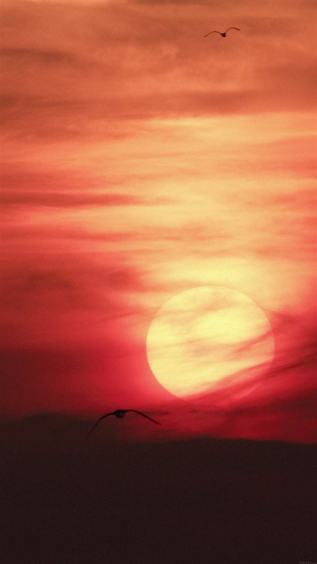 1080x1920 Artistic Red Sunset Desert - sun iPhone 8 Wallpaper