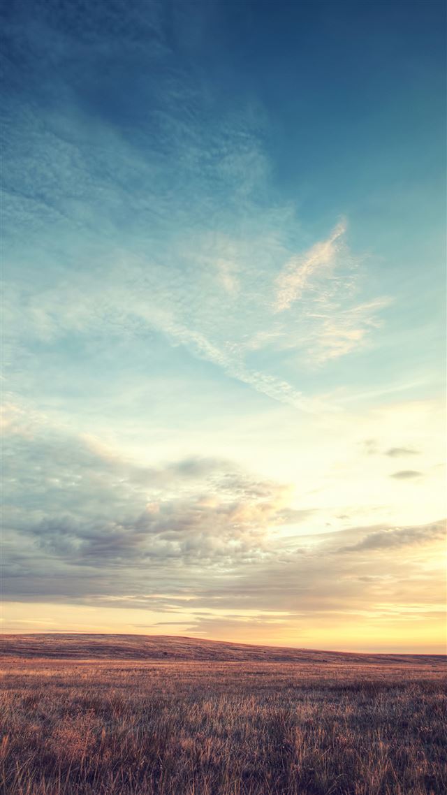 1080x1920 Nature Wild Grassland Skyline - wild iPhone 8 Wallpaper