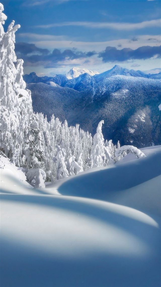 1080x1920 Fairy Snow Forest Field - winter iPhone 8 Wallpaper