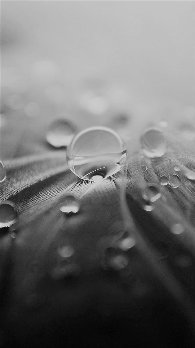 1080x1920 Nature Leaf raindrops Macro Dark Art - macro iPhone 8 Wallpaper
