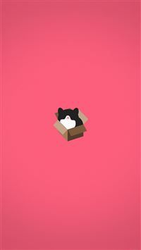 Cat Box Red Illust Animal Art Minimal wallpaper