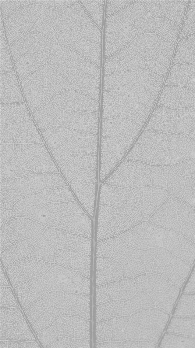 1080x1920 White Leaf Texture Nature Pattern - line iPhone 8 Wallpaper