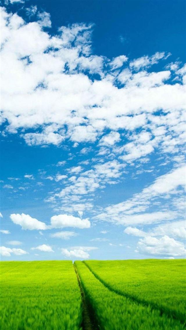 1080x1920 Nature Sunshine Green Corp Field Cloudy Sky - brown iPhone 8 Wallpaper