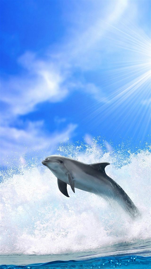 1080x1920 Ocean Jumping Dolphin Under Sunlight -  iPhone 8 Wallpaper