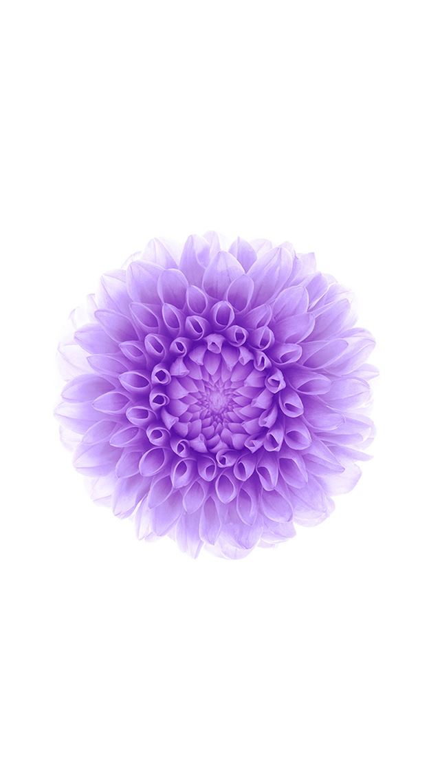 1080x1920 Offical Apple Flower Pattern Background - background iPhone 8 Wallpaper