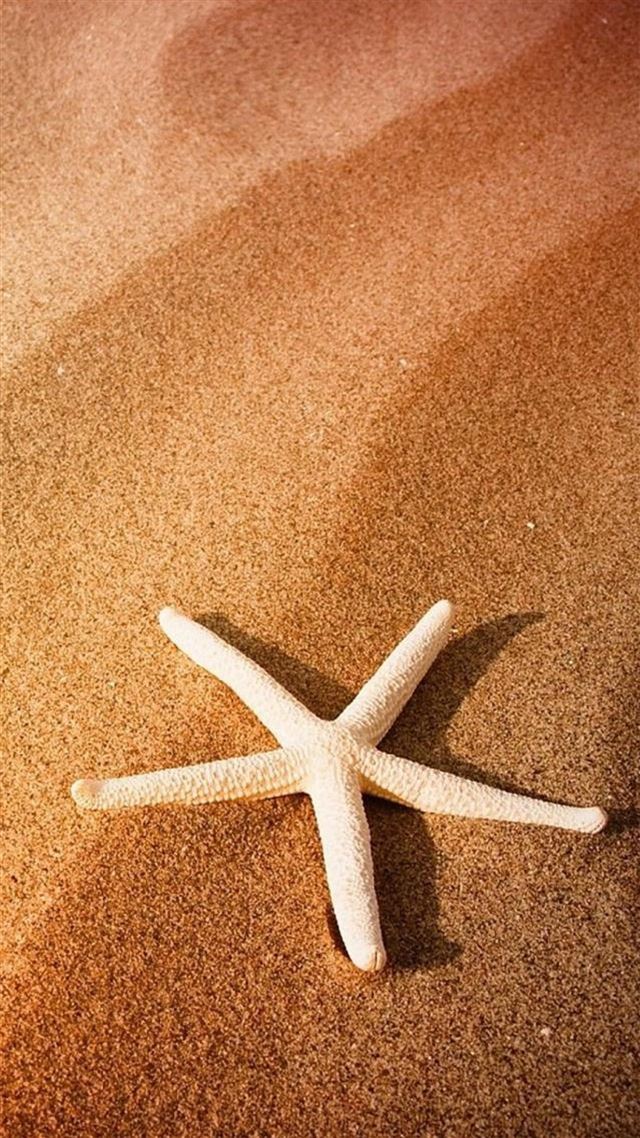 1080x1920 Pure Simple Seaside Beach Starfish Macro - brown iPhone 8 Wallpaper