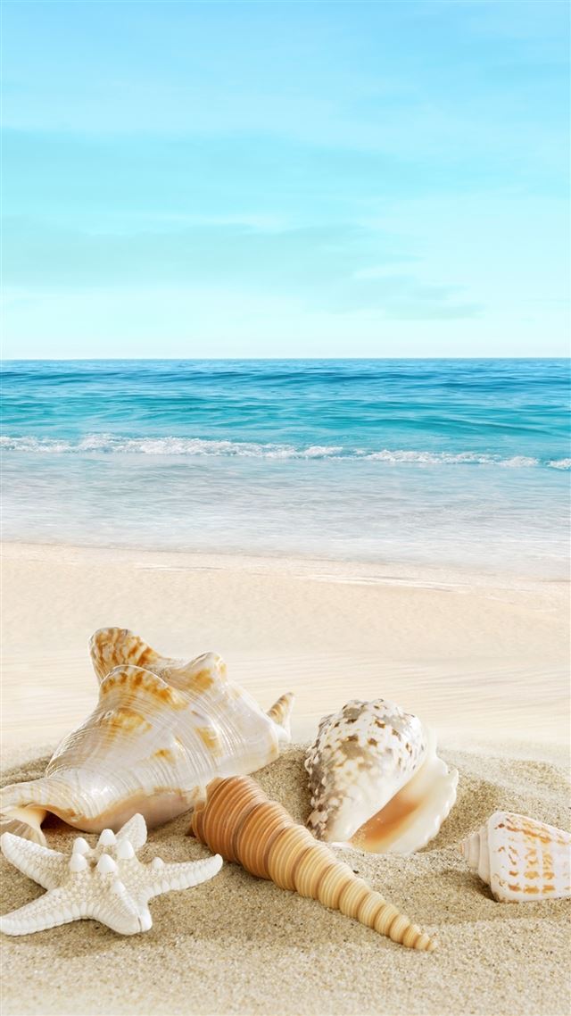 1080x1920 Nature Sunny Sea Shell Beach - bright iPhone 8 Wallpaper