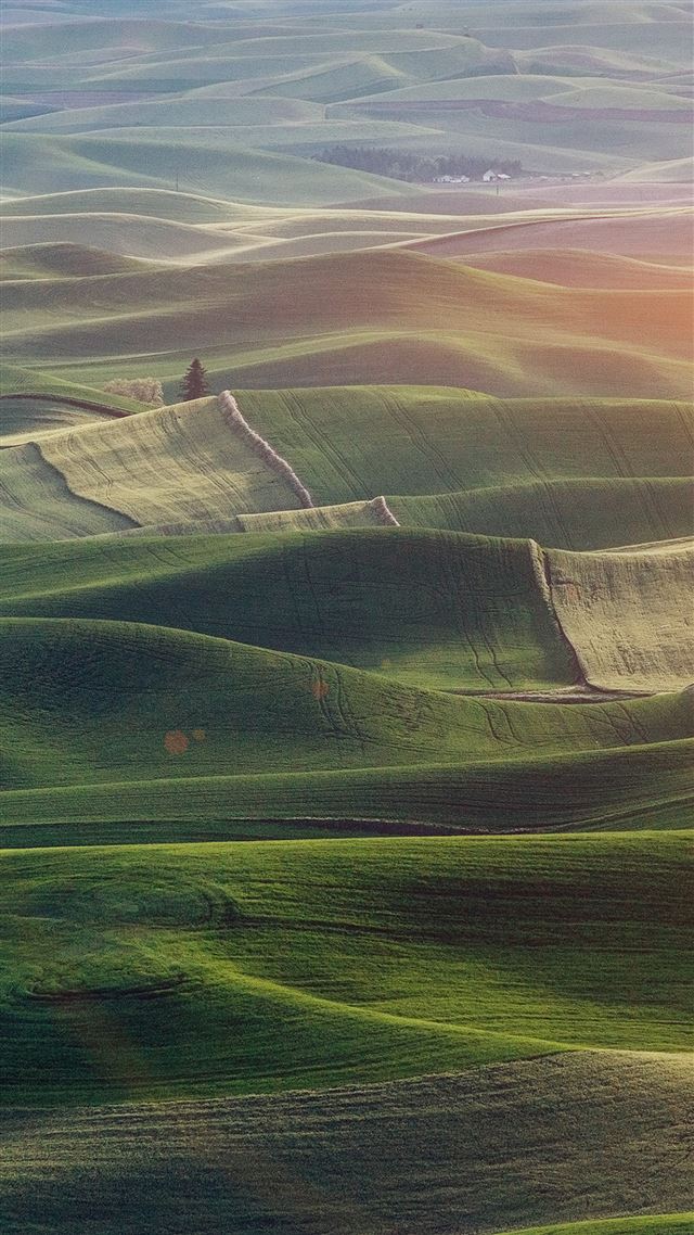 1242x2208 Nature Field Green Flower Wood Earth Morning Flare - plain iPhone 8 Wallpaper