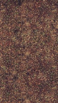 Wither Orange Grass Texture Pattern Background wallpaper