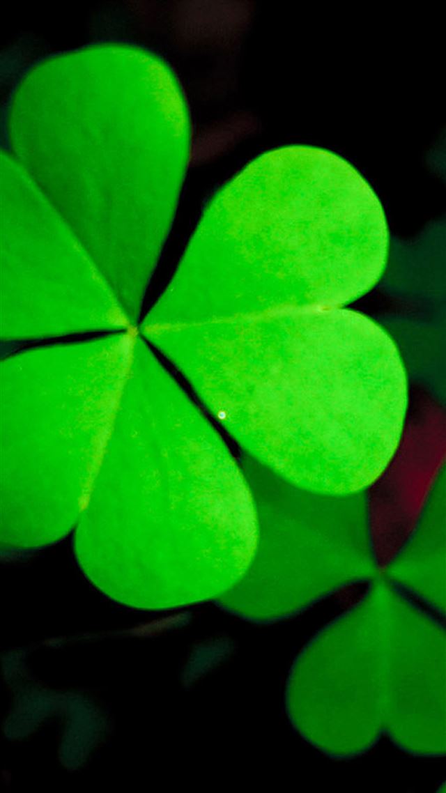 1080x1920 Pure Green Lucky Grass Clover  Leaf Close Up - close up iPhone 8 Wallpaper