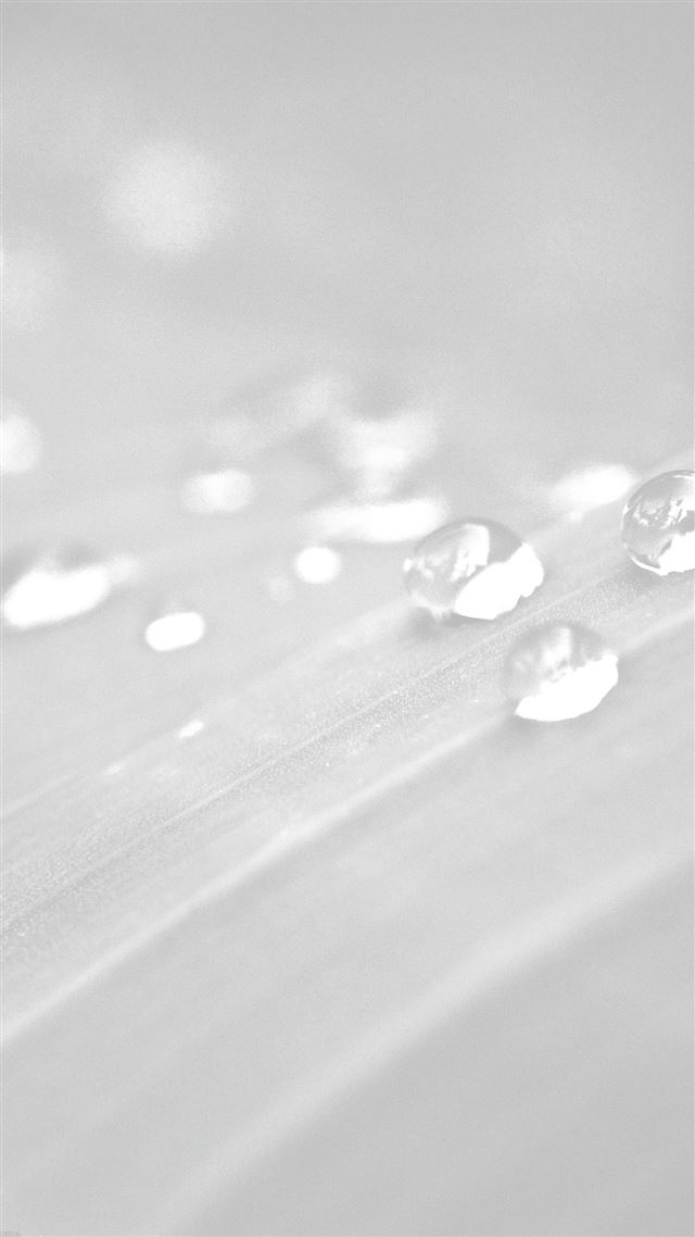 1080x1920 Pure Clear Water Drops Nature White Leaf After Rain Forest - minimal iPhone 8 Wallpaper