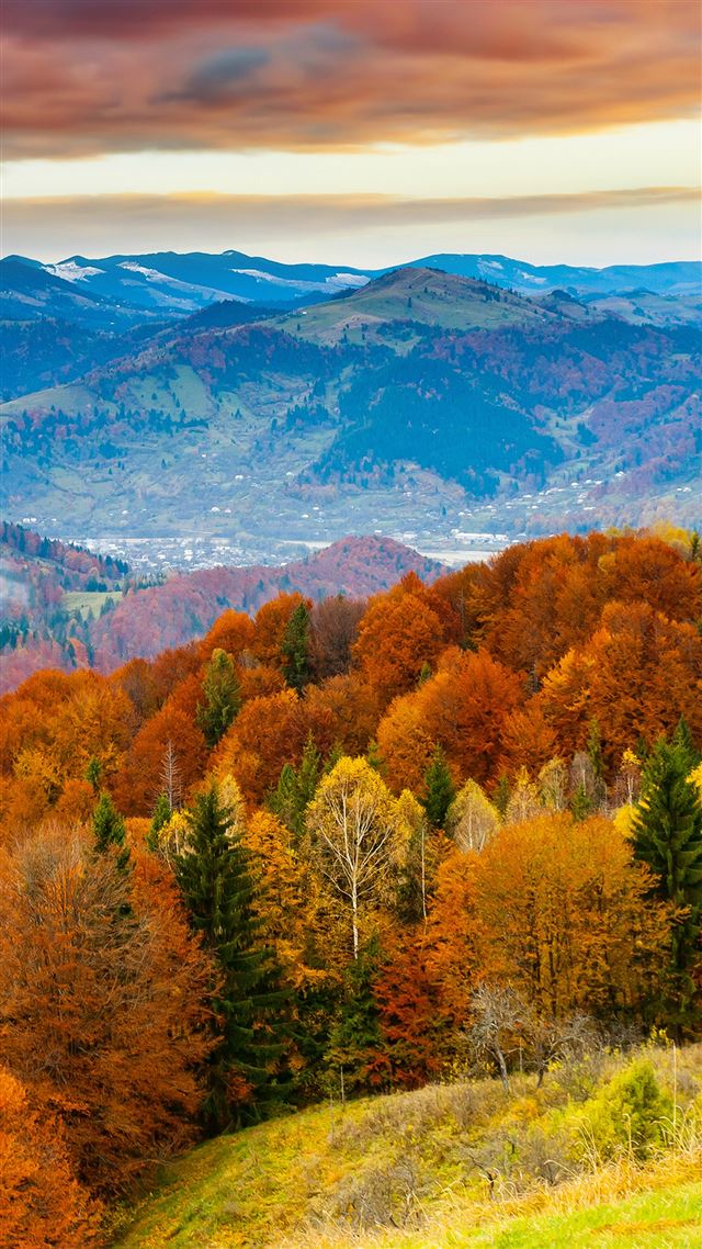 1080x1920 Fall Mountain Fun Red Orange Tree Nature - fall iPhone 8 Wallpaper