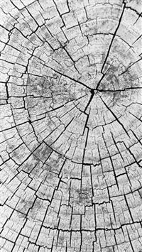 Abstract Wood Pile Head Texture Background wallpaper