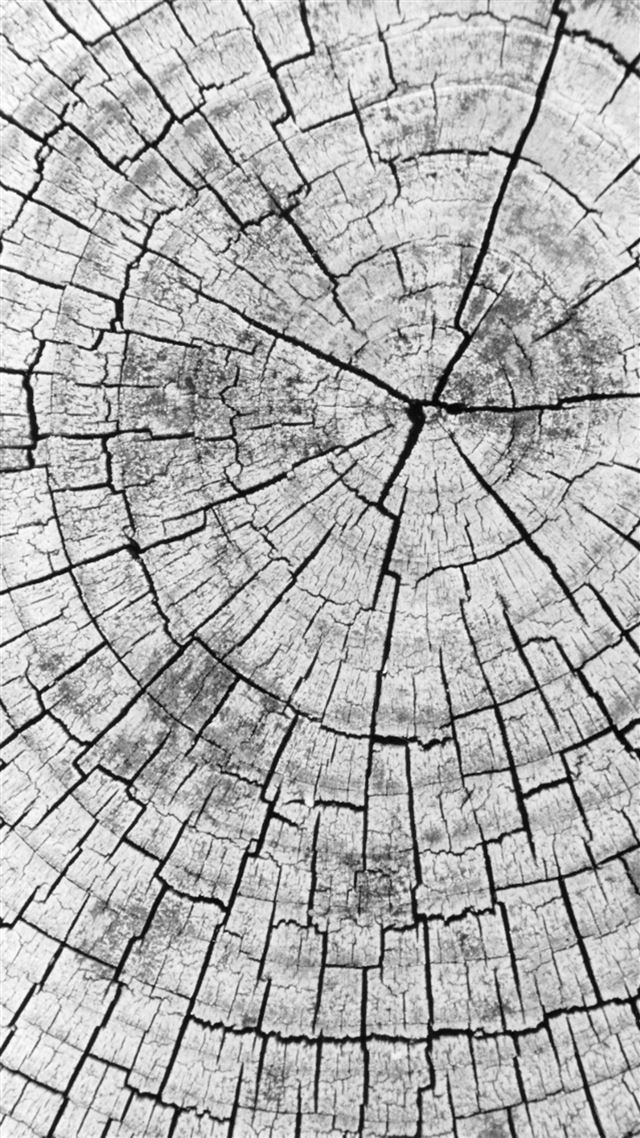 1080x1920 Abstract Wood Pile Head Texture Background - crack iPhone 8 Wallpaper